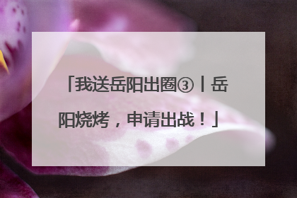 我送岳阳出圈③丨岳阳烧烤，申请出战！