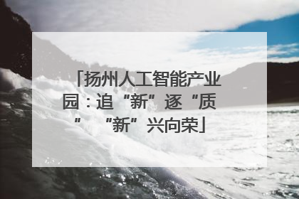 扬州人工智能产业园：追“新”逐“质” “新”兴向荣