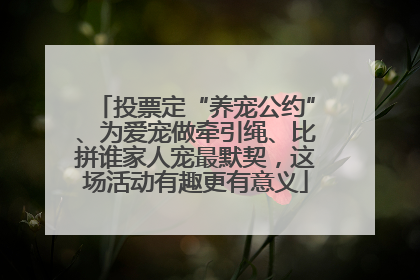 投票定“养宠公约”、为爱宠做牵引绳、比拼谁家人宠最默契，这场活动有趣更有意义