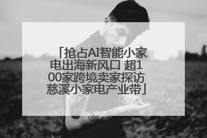 抢占AI智能小家电出海新风口 超100家跨境卖家探访慈溪小家电产业带