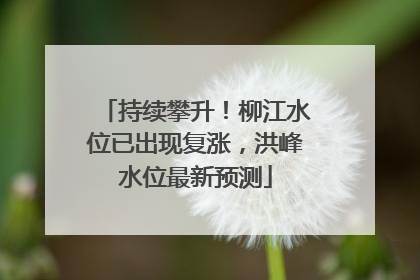 持续攀升！柳江水位已出现复涨，洪峰水位最新预测