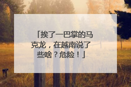 挨了一巴掌的马克龙，在越南说了些啥？危险！
