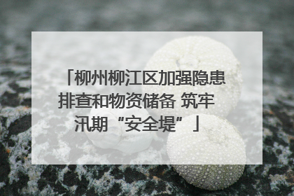 柳州柳江区加强隐患排查和物资储备 筑牢汛期“安全堤”
