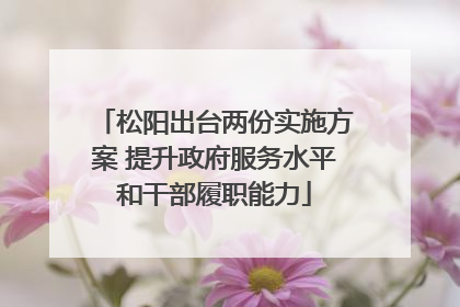 松阳出台两份实施方案 提升政府服务水平和干部履职能力