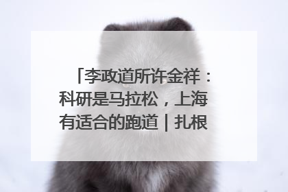 李政道所许金祥：科研是马拉松，上海有适合的跑道｜扎根上海，从0到1