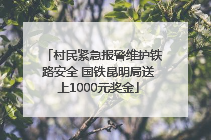 村民紧急报警维护铁路安全 国铁昆明局送上1000元奖金