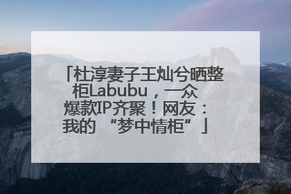 杜淳妻子王灿兮晒整柜Labubu，一众爆款IP齐聚！网友：我的 “梦中情柜”