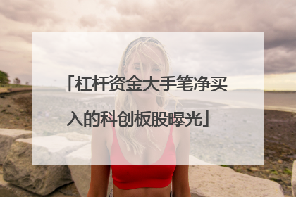 杠杆资金大手笔净买入的科创板股曝光