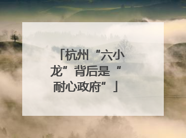 杭州“六小龙”背后是“耐心政府”