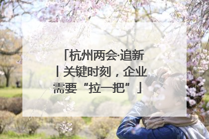杭州两会·追新丨关键时刻，企业需要“拉一把”