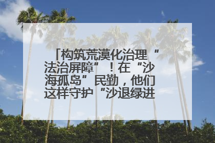 构筑荒漠化治理“法治屏障”！在“沙海孤岛”民勤，他们这样守护“沙退绿进”的生态奇迹