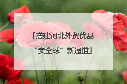 搭建河北外贸优品“卖全球”新通道