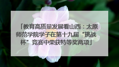 教育高质量发展看山西：太原师范学院学子在第十九届“挑战杯”竞赛中荣获特等奖两项