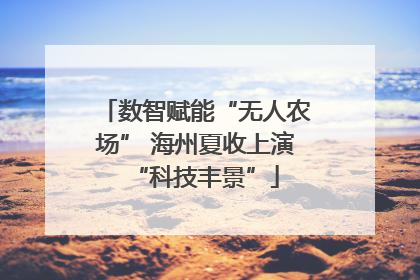 数智赋能“无人农场” 海州夏收上演“科技丰景”