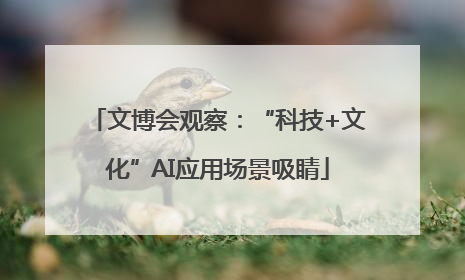 文博会观察：“科技+文化”AI应用场景吸睛