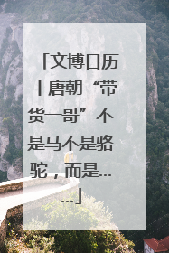 文博日历丨唐朝“带货一哥”不是马不是骆驼，而是……