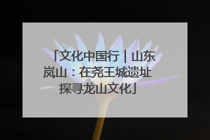 文化中国行｜山东岚山：在尧王城遗址探寻龙山文化
