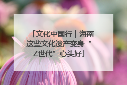 文化中国行｜海南这些文化遗产变身“Z世代”心头好