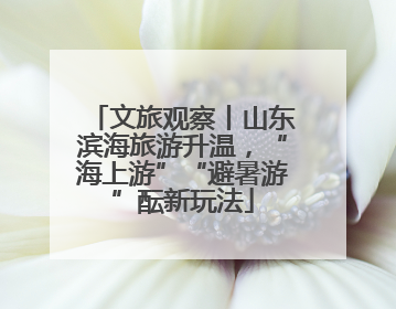 文旅观察丨山东滨海旅游升温，“海上游”“避暑游”酝新玩法