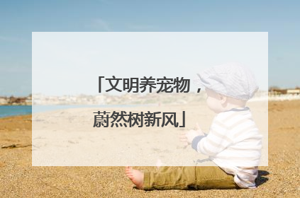 文明养宠物，蔚然树新风