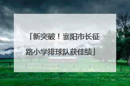 新突破！襄阳市长征路小学排球队获佳绩