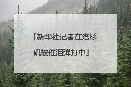 新华社记者在洛杉矶被催泪弹打中