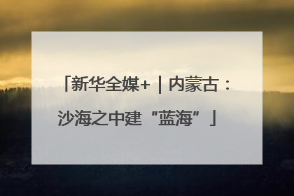 新华全媒+｜内蒙古：沙海之中建“蓝海”