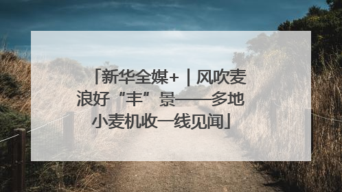 新华全媒+｜风吹麦浪好“丰”景——多地小麦机收一线见闻