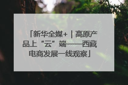 新华全媒+｜高原产品上“云”端——西藏电商发展一线观察
