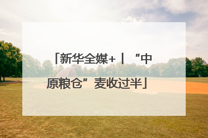 新华全媒+丨“中原粮仓”麦收过半