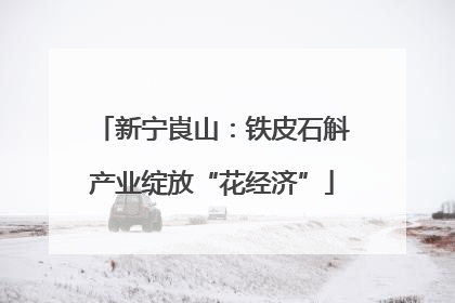 新宁崀山：铁皮石斛产业绽放“花经济”