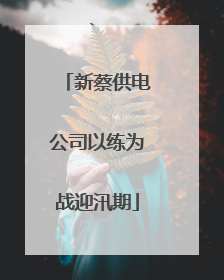 新蔡供电公司以练为战迎汛期