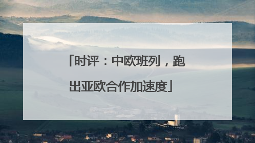 时评：中欧班列，跑出亚欧合作加速度