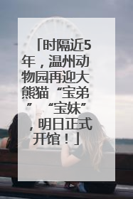 时隔近5年，温州动物园再迎大熊猫“宝弟”“宝妹”，明日正式开馆！