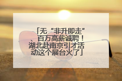 无“非升即走”、百万高薪诚聘！湖北赴南京引才活动这个展台火了