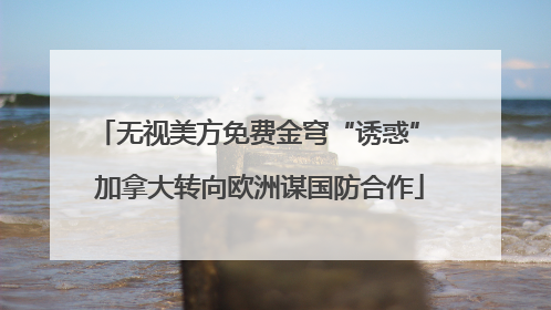 无视美方免费金穹“诱惑” 加拿大转向欧洲谋国防合作