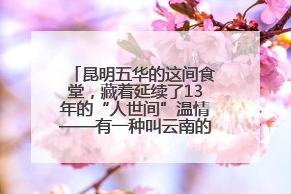 昆明五华的这间食堂，藏着延续了13年的“人世间”温情——有一种叫云南的生活之365天