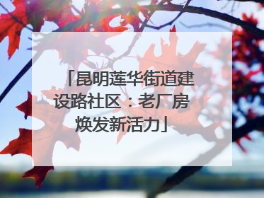 昆明莲华街道建设路社区：老厂房焕发新活力