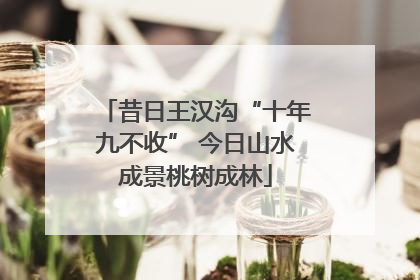 昔日王汉沟“十年九不收” 今日山水成景桃树成林