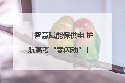 智慧赋能保供电 护航高考“零闪动”