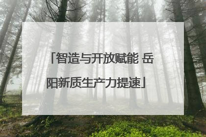 智造与开放赋能 岳阳新质生产力提速