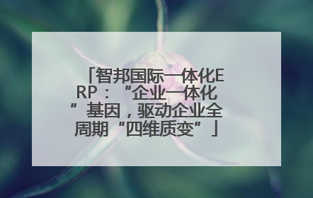 智邦国际一体化ERP：“企业一体化”基因，驱动企业全周期“四维质变”