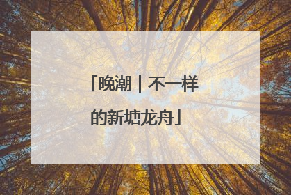 晚潮｜不一样的新塘龙舟