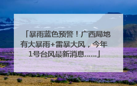 暴雨蓝色预警！广西局地有大暴雨+雷暴大风，今年1号台风最新消息……