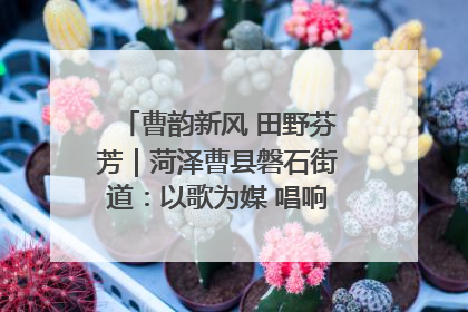 曹韵新风 田野芬芳｜菏泽曹县磐石街道：以歌为媒 唱响乡土“新歌声”