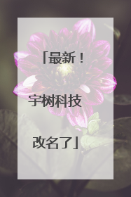 最新！宇树科技改名了