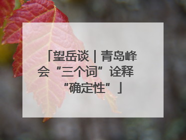 望岳谈｜青岛峰会“三个词”诠释“确定性”