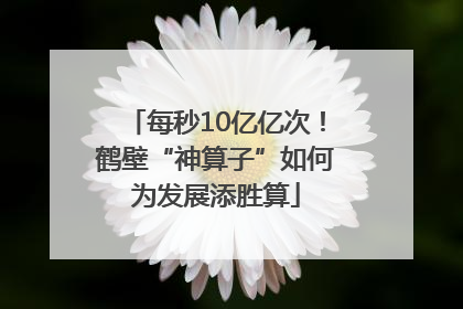 每秒10亿亿次！鹤壁“神算子”如何为发展添胜算