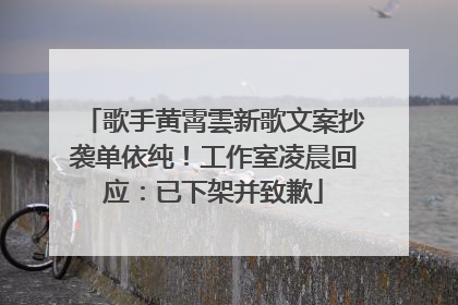 歌手黄霄雲新歌文案抄袭单依纯！工作室凌晨回应：已下架并致歉