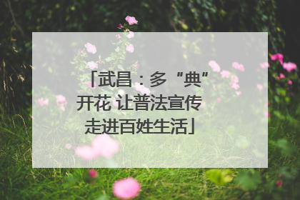 武昌：多“典”开花 让普法宣传走进百姓生活